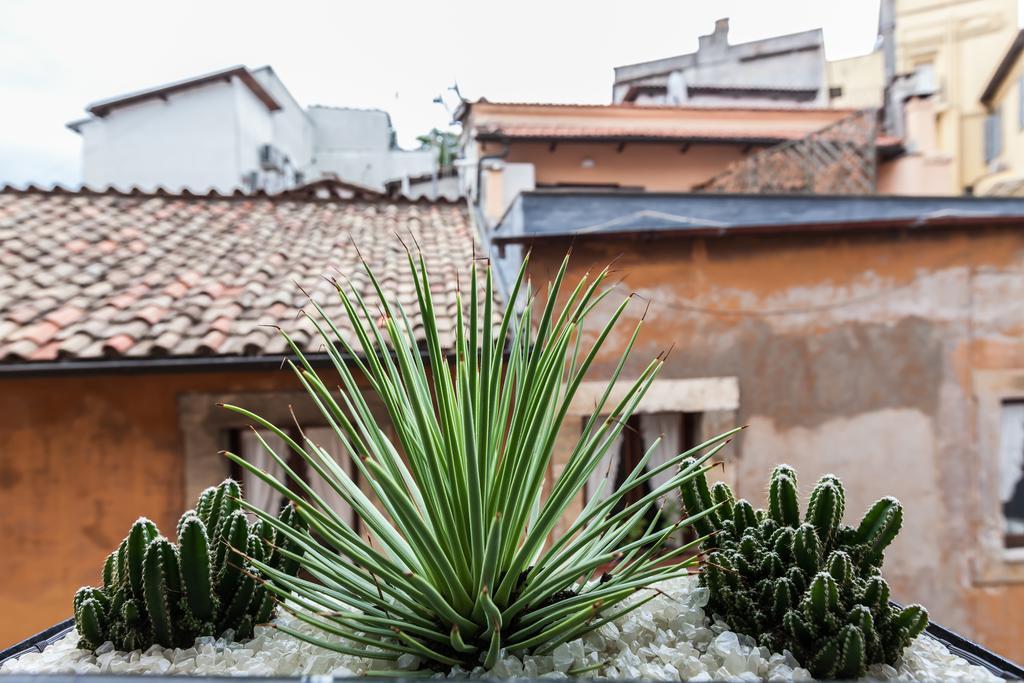 Campo Penthouse *